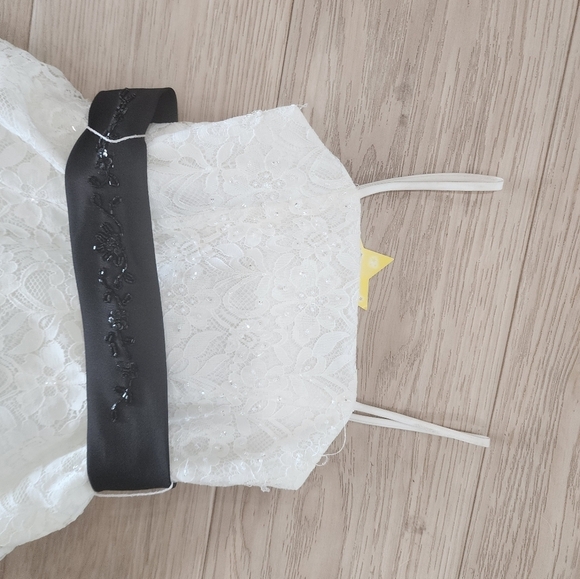 David's Bridal beaded lace GORGEOUS in PERFECT SHAPE - Picture 7 of 7